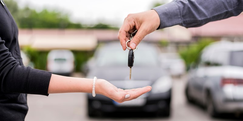 Car Rental Investment Opportunity